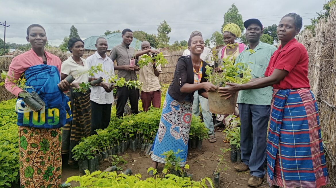 Chiradzulu residents in landscape restoration initiative