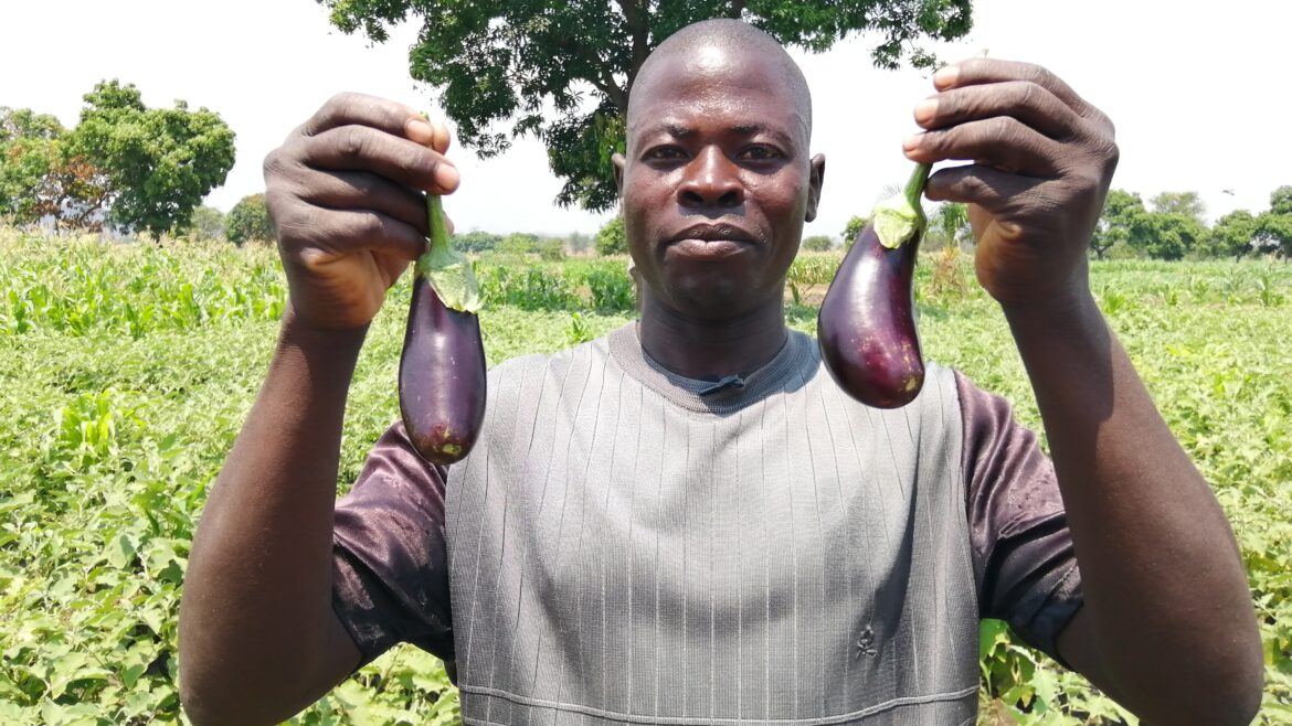 MALAWI GREEN CORPS – MwAPATA study  unveils insights on youth restoration initiative